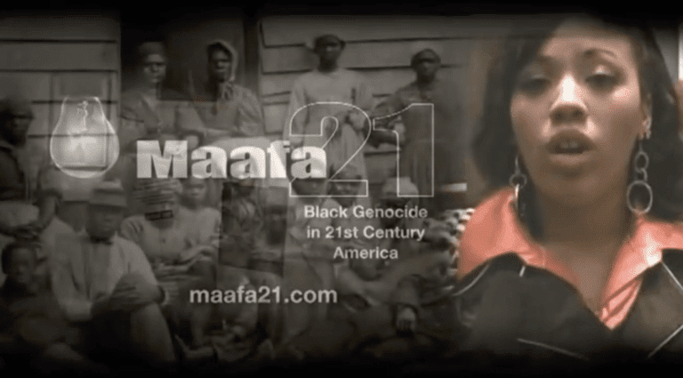 Maafa 21 Countless Views Exposing Abortion and Black Genocide