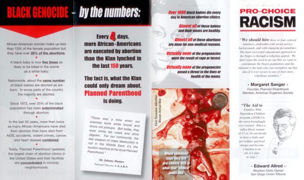 Klan Parenthood: Lynching is for Amateurs Brochure - Image 4
